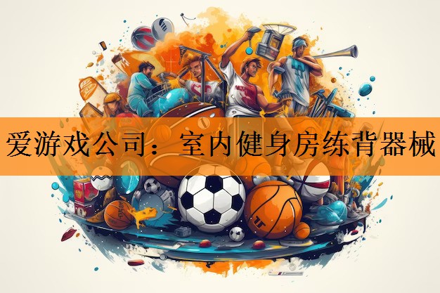 爱游戏公司：室内健身房练背器械