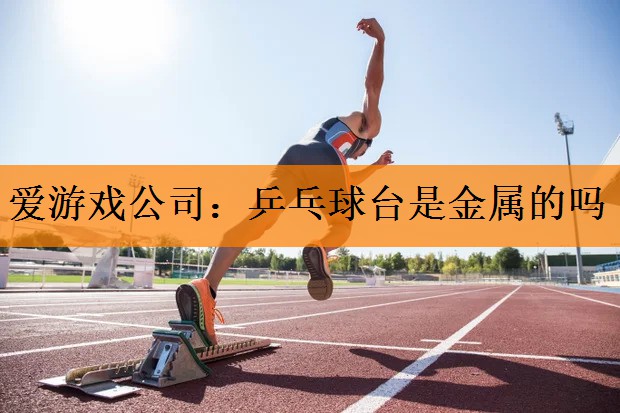 爱游戏公司：乒乓球台是金属的吗