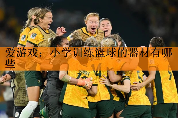 爱游戏：小学训练篮球的器材有哪些