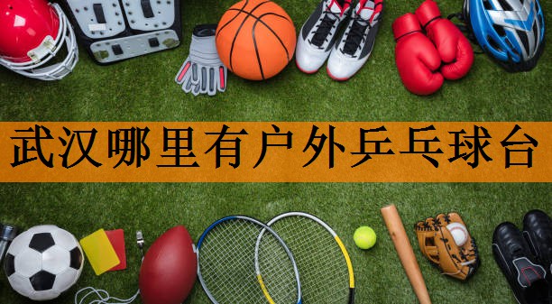 <strong>武汉哪里有户外乒乓球台</strong>