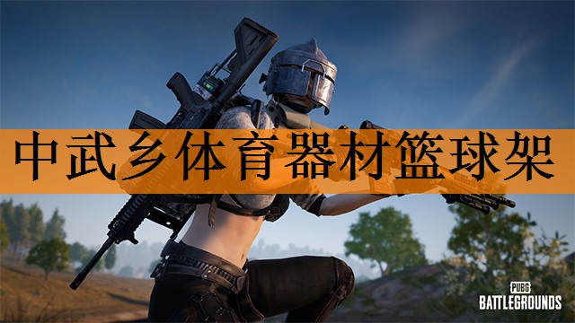 中武乡体育器材篮球架