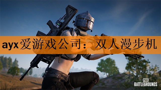 <strong>ayx爱游戏公司：双人漫步机</strong>
