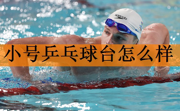 <strong>小号乒乓球台怎么样</strong>