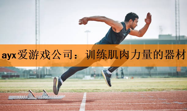 <strong>ayx爱游戏公司：训练肌肉力量的器材</strong>