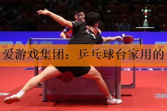 爱游戏集团：乒乓球台家用的