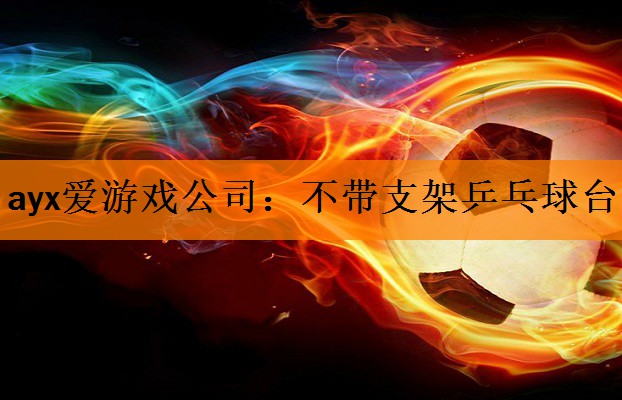 <strong>ayx爱游戏公司：不带支架乒乓球台</strong>