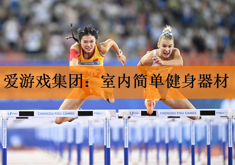 爱游戏集团：室内简单健身器材