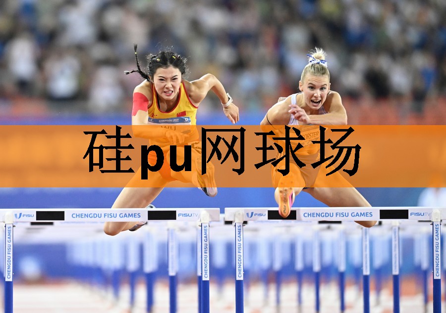 硅pu网球场