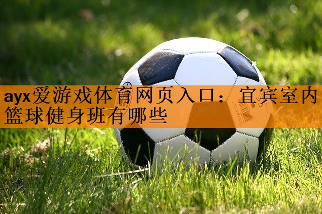 ayx爱游戏体育网页入口：宜宾室内篮球健身班有哪些