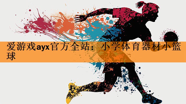 爱游戏ayx官方全站：小学体育器材小篮球