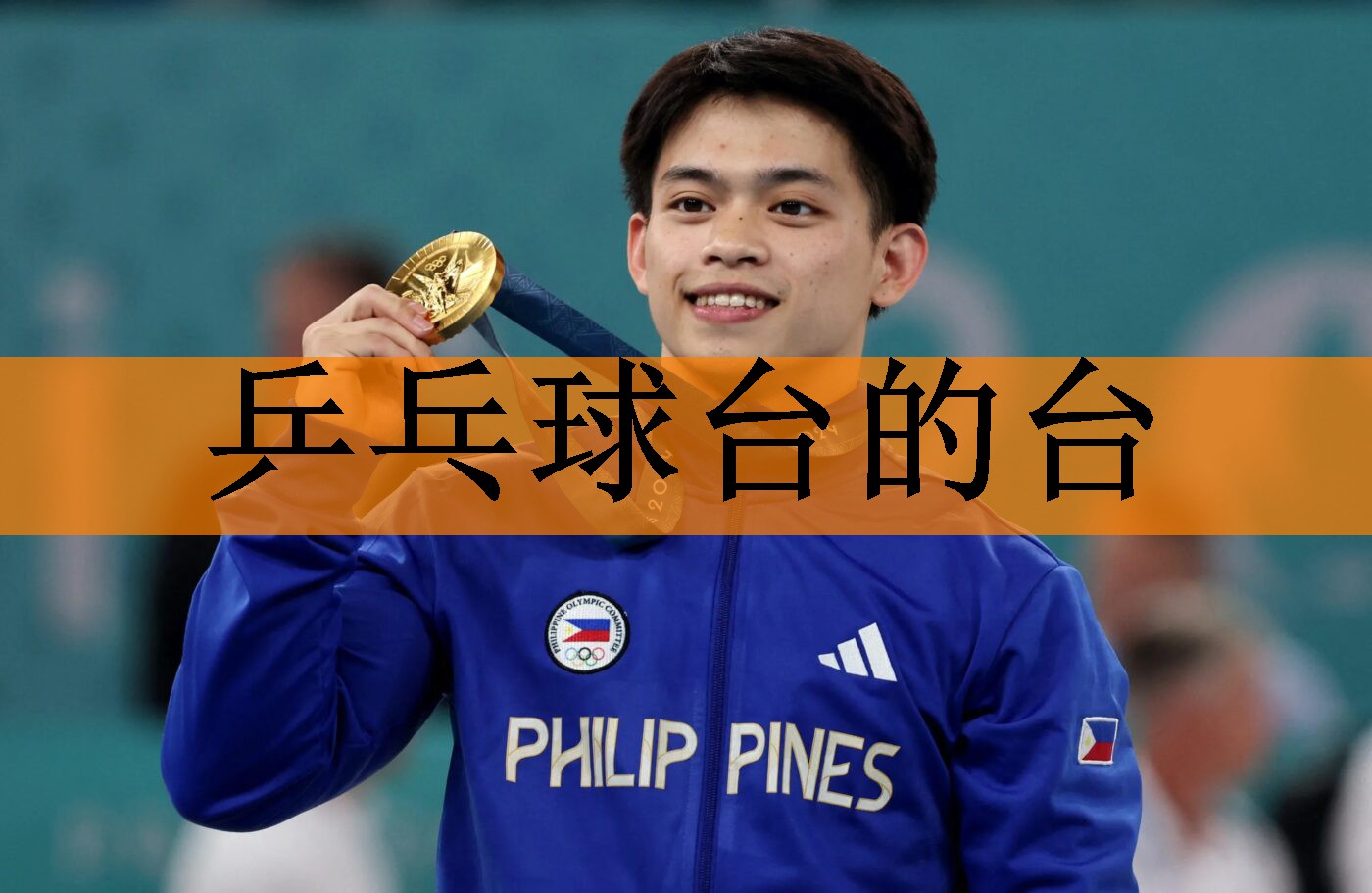 <strong>乒乓球台的台</strong>