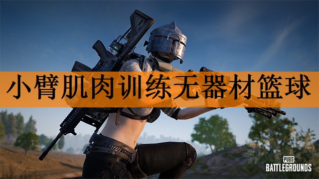 小臂肌肉训练无器材篮球