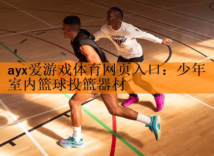 <strong>ayx爱游戏体育网页入口：少年室内篮球投篮器材</strong>