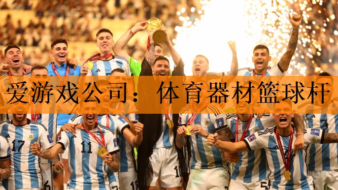 <strong>爱游戏公司：体育器材篮球杆</strong>