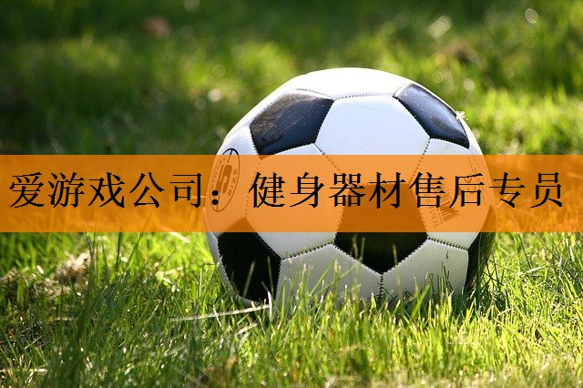 爱游戏公司：健身器材售后专员