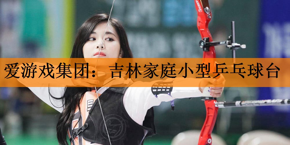 爱游戏集团：吉林家庭小型乒乓球台