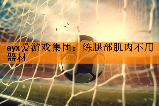 <strong>ayx爱游戏集团：练腿部肌肉不用器材</strong>