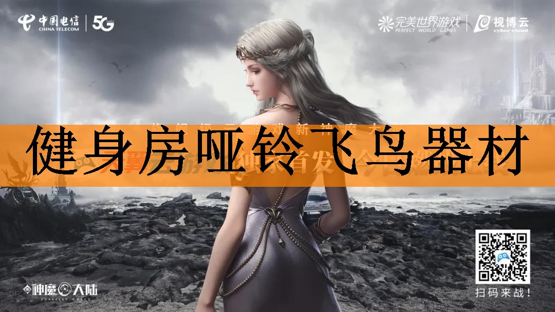 健身房哑铃飞鸟器材