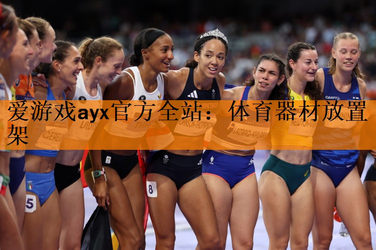 <strong>爱游戏ayx官方全站：体育器材放置架</strong>