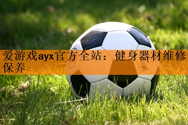 <strong>爱游戏ayx官方全站：健身器材维修保养</strong>