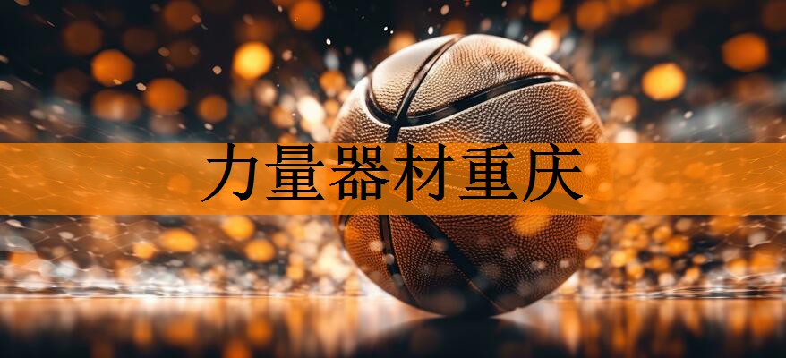 力量器材重庆