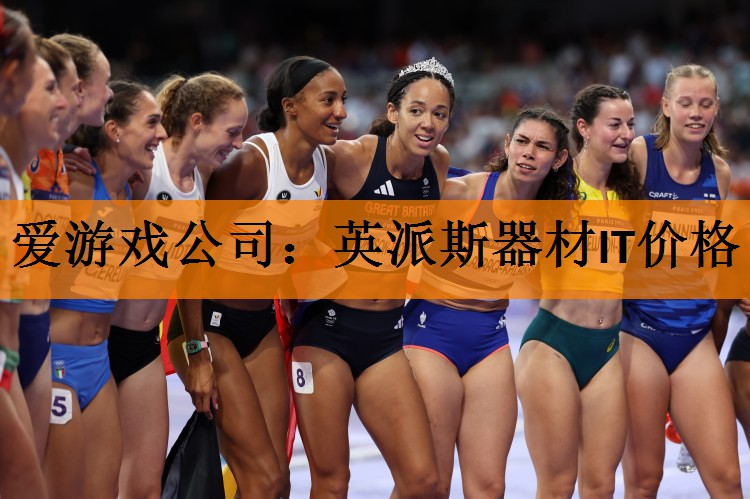 <strong>爱游戏公司：英派斯器材IT价格</strong>