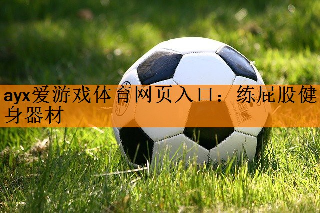 ayx爱游戏体育网页入口：练屁股健身器材