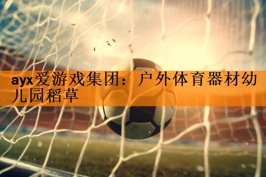 ayx爱游戏集团：户外体育器材幼儿园稻草