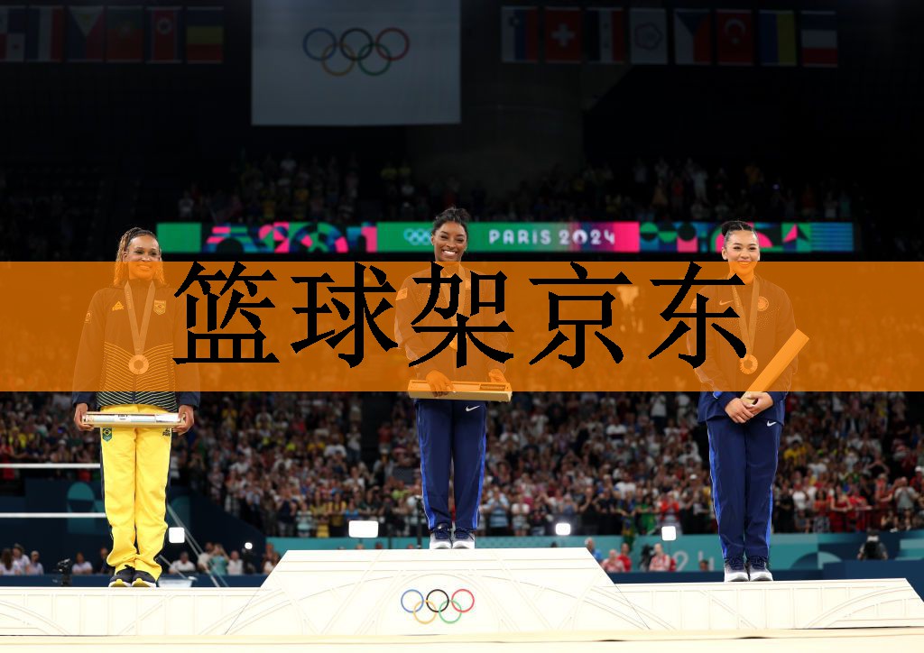 篮球架京东