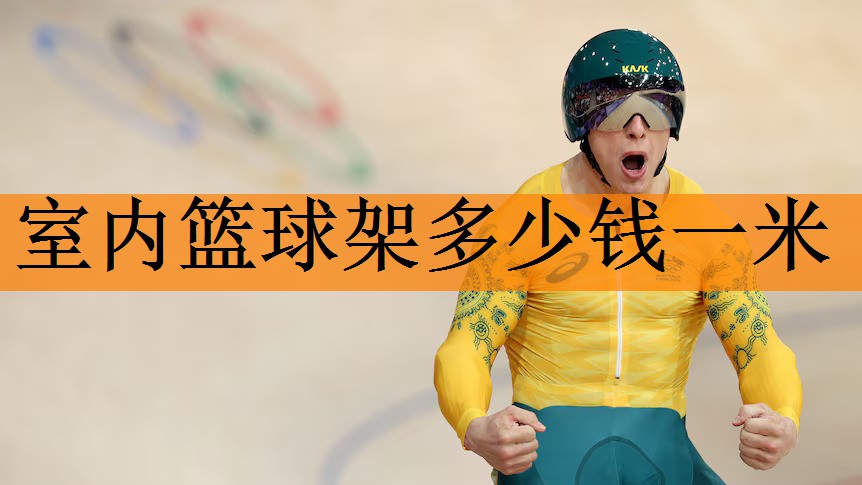 室内篮球架多少钱一米