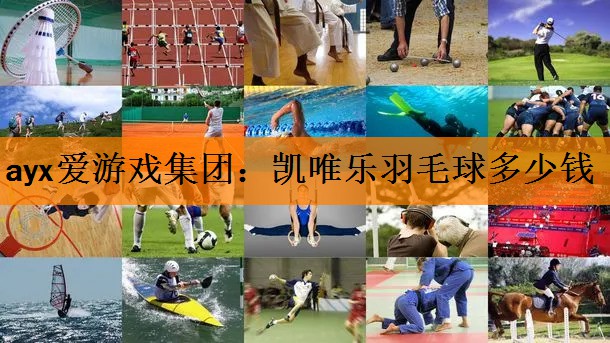 ayx爱游戏集团：凯唯乐羽毛球多少钱