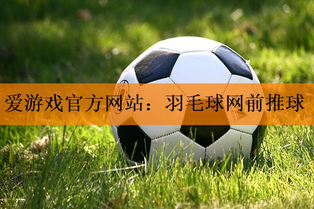 <strong>爱游戏官方网站：羽毛球网前推球</strong>