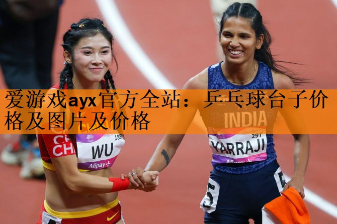 爱游戏ayx官方全站：乒乓球台子价格及图片及价格