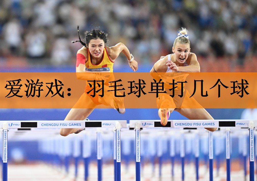 爱游戏：羽毛球单打几个球