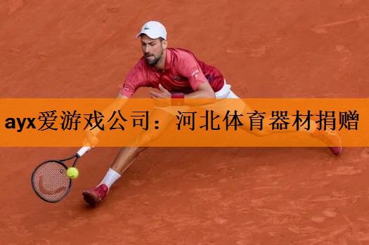<strong>ayx爱游戏公司：河北体育器材捐赠</strong>