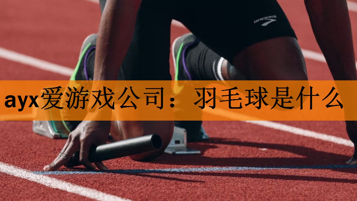 ayx爱游戏公司：羽毛球是什么