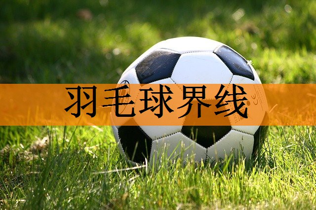 羽毛球界线