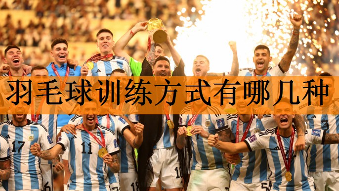 羽毛球训练方式有哪几种