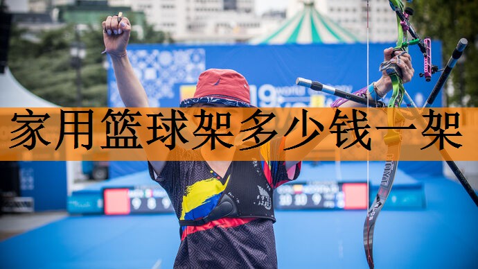 <strong>家用篮球架多少钱一架</strong>