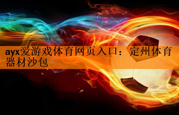 ayx爱游戏体育网页入口：定州体育器材沙包
