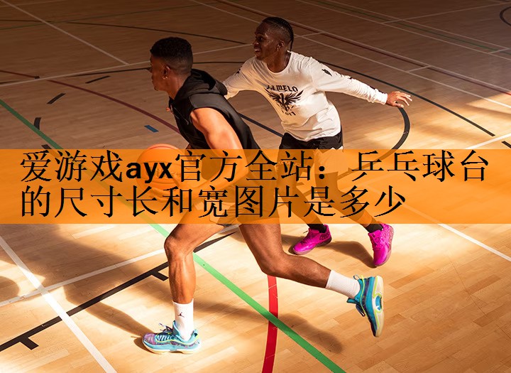 <strong>爱游戏ayx官方全站：乒乓球台的尺寸长和宽图片是多少</strong>