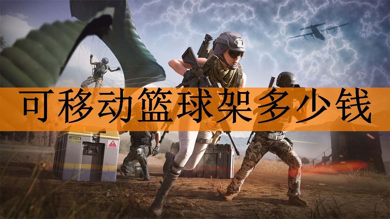 可移动篮球架多少钱