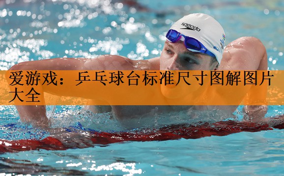 爱游戏：乒乓球台标准尺寸图解图片大全