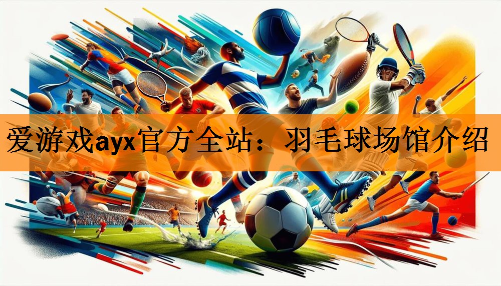 爱游戏ayx官方全站：羽毛球场馆介绍