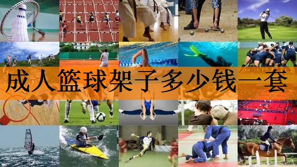 成人篮球架子多少钱一套