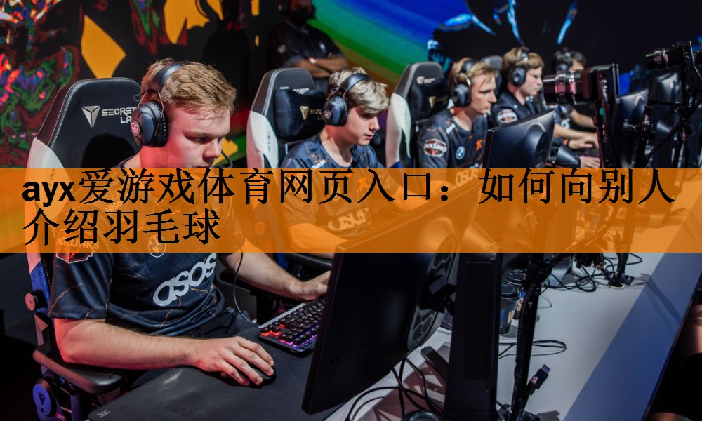 <strong>ayx爱游戏体育网页入口：如何向别人介绍羽毛球</strong>