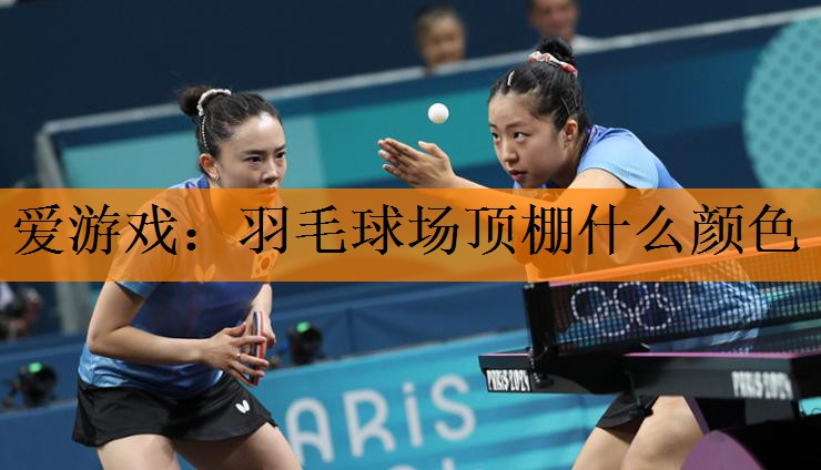 爱游戏：羽毛球场顶棚什么颜色