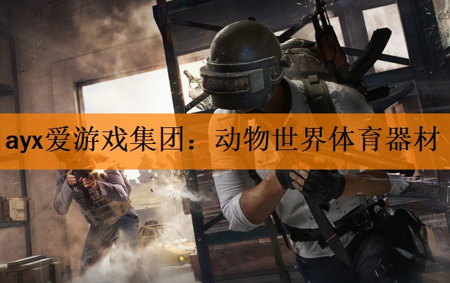 <strong>ayx爱游戏集团：动物世界体育器材</strong>