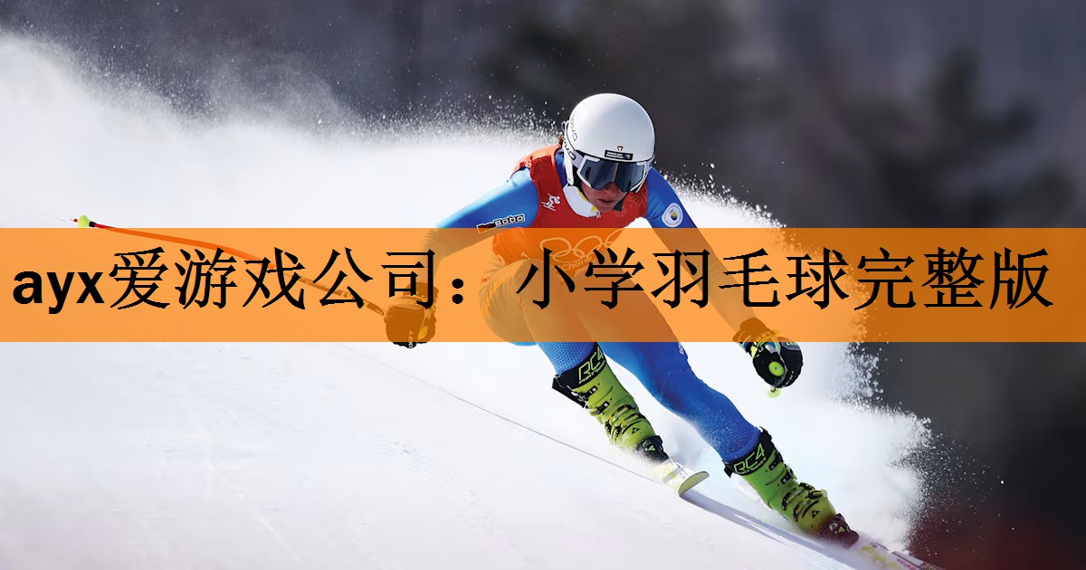 ayx爱游戏公司：小学羽毛球完整版