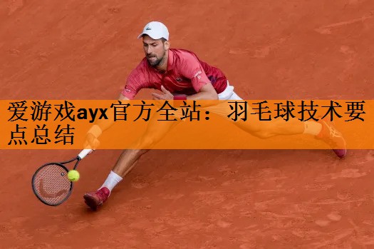 爱游戏ayx官方全站：羽毛球技术要点总结